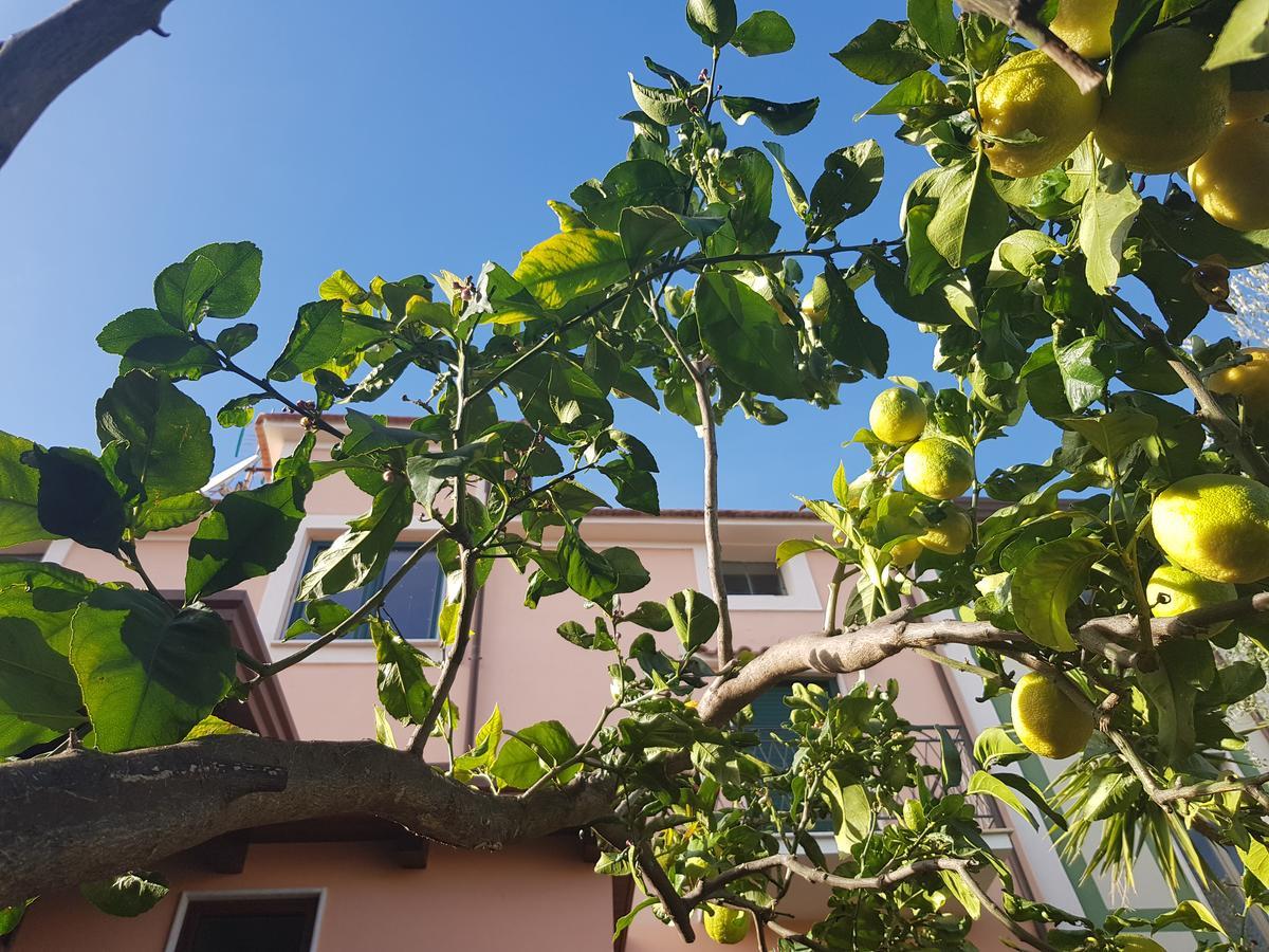 La Casa Di Paolo Casa Di Charme Hotel Марина ди Камерота Екстериор снимка